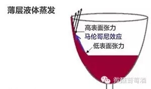 33.webp