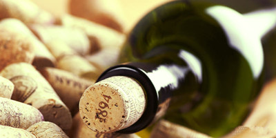 葡萄酒的年份是酿酒年份吗?_品鉴_葡萄酒文化_葡萄酒伙伴网